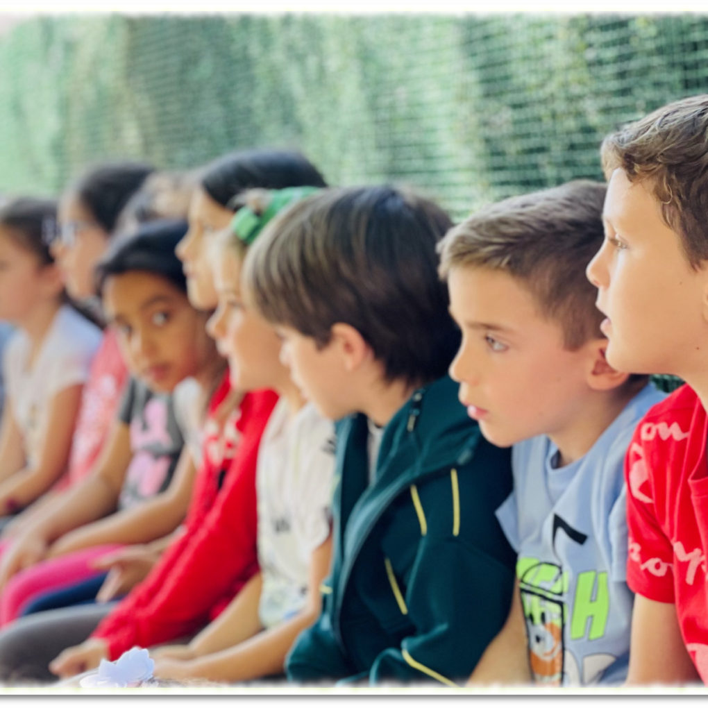 Megafonía e Hilo Musical! – Colegio San Francisco de Asís de Dolores